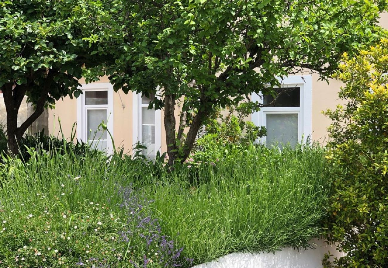 Appartement à Lisbonne - Garden Quiet and Cool Apartment 27 by Lisbonne Collection