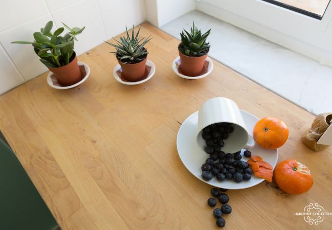 Petit cactus et fruits pausés sur le plan de travail de la cuisine